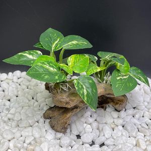 Decorações para Aquário, Ornamentos para Tanque de Peixes, Rede de Folha de Seda para Betta, Caverna de Madeira Artificial, Acessórios para Aquário de Peixes Dourados - Product Image 6