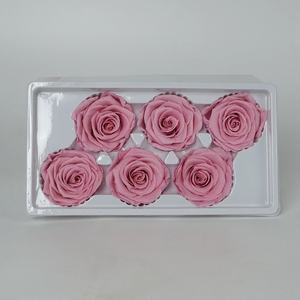 Fournisseurs en gros, prix d'usine, pomme de <span class=keywords><strong>rose</strong></span> d'<span class=keywords><strong>equateur</strong></span> préservée - Product Image 1