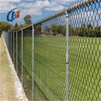 Malla de Alambre de Acero Galvanizado para Granjas, Cercas de Cadena para Ovejas, Ganado, Pastos y Terrenos