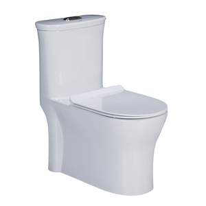 WC monobloc en céramique pour salle de bain, style Amérique latine - Product Image 1