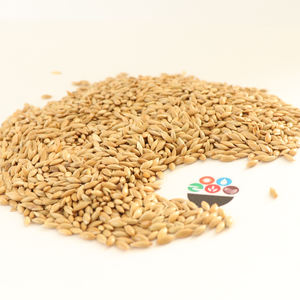 Bulkprijs Vink Vogelvoer 25Kg Groot Pakket Kanariezaad Voor Groene Vinken - Product Image 1