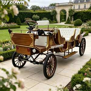 Carruaje eléctrico europeo de lujo sin caballos, tipo buggy, para paseos turísticos, parques de atracciones, bodas y alquiler. - Product Image 1