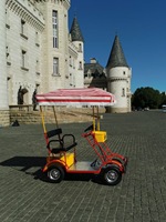 Quadricycle électrique familial pour le tourisme et la détente, double 500W 48V, 2 places, vélo électrique tandem