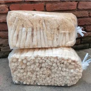 Champignons de bambou séchés naturels en gros, champignons comestibles, champignons de bambou pour ragoût, ingrédients pour fondue - Product Image 3
