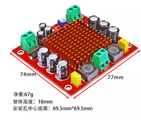 Carte d'amplificateur de puissance numérique monocanal haute performance TPA3116D2 150W avec module d'amplification audio 12V et 24V