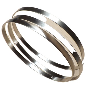 Anneau de contact en nickel durable pour machine à tréfiler, compatible avec Frigeco/Niehoff/Samp dans la <span class=keywords><strong>poulie</strong></span> de recuit. - Product Image 1