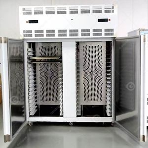 Congelador Criogénico Comercial Pequeño de Congelación Rápida por Choque para Bloques de Hielo y Pollo - Product Image 2