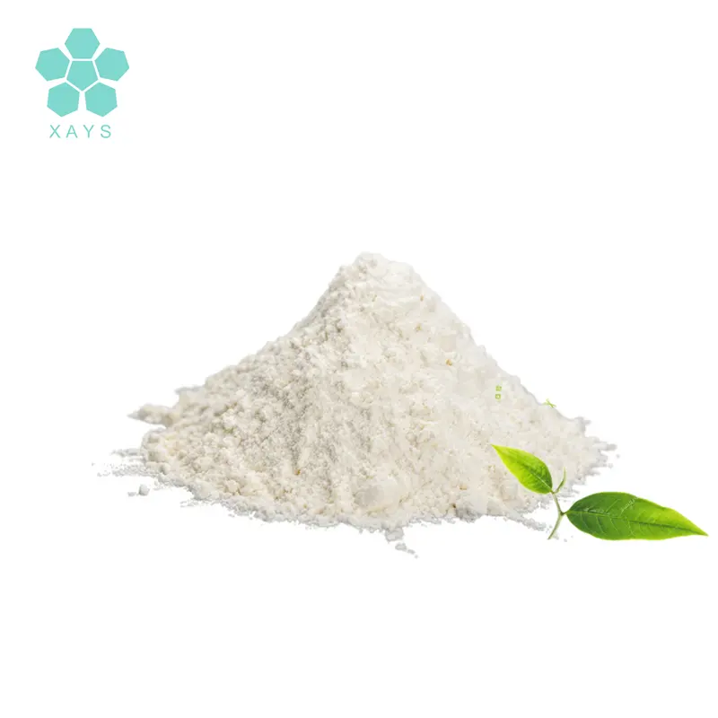 Fornitura CAS 3081-61-6 estratto di tè verde biologico 98% L-teanina in polvere
