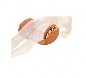 Réparer les restaurateurs d'os pelviens de <span class=keywords><strong>massage</strong></span> de taille de fesses de <span class=keywords><strong>massage</strong></span> peut être personnalisé - Product Image 2