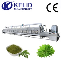 Machine de stérilisation par micro-ondes pour poudre de feuilles de Moringa, de qualité alimentaire SS304, à commande PLC, efficace et industrielle