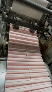 215mm*30m Hoogwaardig 12-kanaals <span class=keywords><strong>ECG</strong></span>-papierrol voor medische registratie - Product Image 5