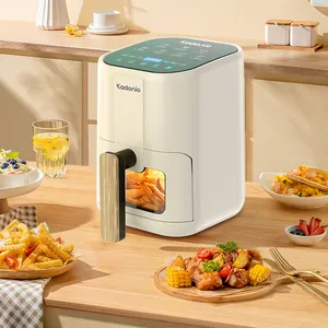 Genuine Compact Deep Cooking Air French Fries Fryer Restaurant Kitchen Appliance Electric Quick Control Air Fryer