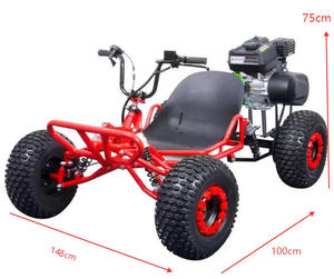 <span class=keywords><strong>Kart</strong></span> da Corsa Fuoristrada 212cc 4 Tempi con Pneumatici da 8 Pollici, Trasmissione a Catena, Alimentazione a Benzina, Barra Anteriore Rinforzata, <span class=keywords><strong>Go</strong></span>-<span class=keywords><strong>Kart</strong></span> da Montagna per Drift Racing - Product Image 1