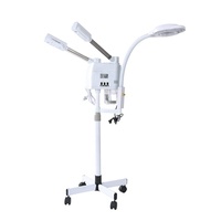 Appareil de soin du visage 3 en 1 chaud et froid avec lampe loupe 8X et anneau lumineux pour salon, sauna, vaporisateur d'ozone, steamer facial