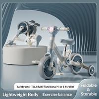 Kangtong 2026 Nouveau Vélo d'équilibre multifonctionnel en plastique pour enfants de 2 à 6 ans avec poignée de poussée, lumières, musique et quatre roues pour garçons