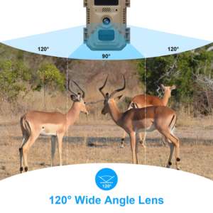 50 mètres infrarouge Vision nocturne numérique Variable UHD 4MP CCTV caméra champ <span class=keywords><strong>chasse</strong></span> solaire sécurité <span class=keywords><strong>Camara</strong></span> avec capteur CMOS - Product Image 5