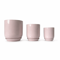 Pots à fleurs en céramique émaillée rose blush nordique haut de gamme avec soucoupe, pot de fleurs cylindrique minimaliste brillant pour intérieur
