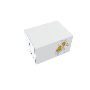 Custom Printed Color Cardboard Mailer Shipping Postal Box Paper Packaging Corrugated Shipping Box For Garment