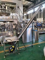 Machine de remplissage automatique à vis sans fin avec dosage et pesage pour farine, épices, protéines et poudres sèches, mélangeur à ruban en option