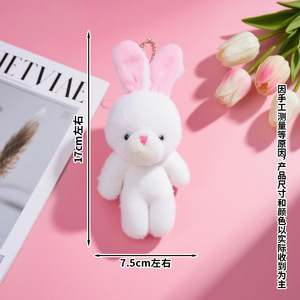 Nouveaux mini-ours en peluche doux et mignons pour la Saint-Valentin, ours en peluche timide et rouge, ours en peluche en gros, lapin, porte-clés en peluche - Product Image 5