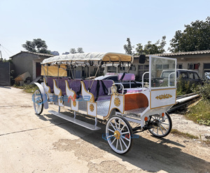 Popular <b>White</b> Royal Horse Carriage Manufacturer Wedding Vehicle Wagon Sightseeing Electric Horseless Carriage - Product Image 4