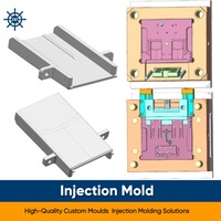 Moules d'injection plastique personnalisés pour plaques nominatives, haute précision, fabricant OEM/ODM, moule multi-cavités à longue durée de vie