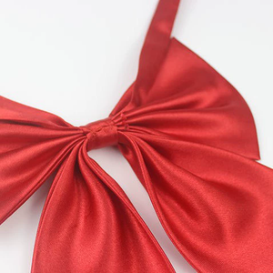 <span class=keywords><strong>Corbata</strong></span> sedosa ajustable <span class=keywords><strong>para</strong></span> mujer, pajarita preatada Lisa <span class=keywords><strong>para</strong></span> mujer, pajarita Formal de calidad de negocios <span class=keywords><strong>para</strong></span> mujer - Product Image 6