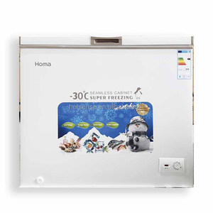 霍玛-30 ℃   深柜式冷冻柜 顶部开门 无缝柜体 快速冷冻 节能 100-300L 适合家庭商业食品储存 - Product Image 5