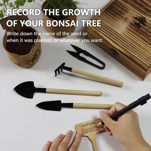 Kit de culture de bonsaï japonais DIY Outils de culture de plantes d'<span class=keywords><strong>intérieur</strong></span> uniques Jardinières personnalisables Cadeaux de jardinage pour femmes hommes enfants - Product Image 5