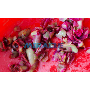 Máy Tách Hạt Lê Và Chế Biến Dầu Hạt Lê Gai Tốt Nhất - Product Image 5