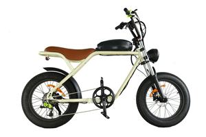 2024 EE. UU. Mercado Venta caliente <span class=keywords><strong>Cross</strong></span> <span class=keywords><strong>E</strong></span> Bike Fat Tire Bicicleta eléctrica Chrome 36V/48V Motor 350W/500W Bicicleta de <span class=keywords><strong>Cross</strong></span> eléctrica para 48V 28ah - Product Image 2