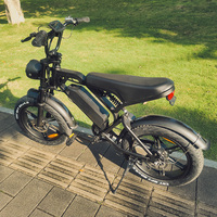 V20 Ebike Mise à niveau Fat Tire Mountain Off-Road Ebike Sport Électrique E Bike City Vélo Électrique 250w E-Bike V20 Fatbike Europa