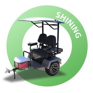 Carrito de Golf Eléctrico Shininglsv con Diseño Combinado de Iluminación Nivelada, 2 Plazas y Remolque - Tipo de Combustible Ecológico - Product Image 1