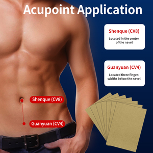 Warming Herbal Prostate Patch Men Health Care Plaster Physical Soothing for Prostatitis Relief - Product Image 4