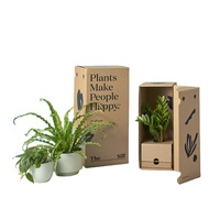 Boîtes d'emballage en papier pour plantes live, 50 pièces, emballage ondulé