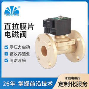 Válvula Solenoide de Brida Yongchuang 2W21, Tipo de Diafragma de Accionamiento Directo, Tratamiento de Agua a Presión Cero, AC220V, Maquinaria para Tratamiento de Agua - Product Image 2
