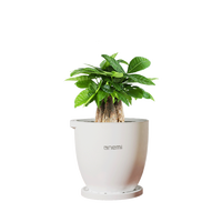 Pot de fleurs intelligent interactif numérique pour animaux de compagnie, pot de fleurs artificiel intelligent pour balcon et bureau, intelligence artificielle