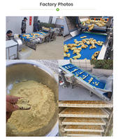Machine de séchage de poudre de gingembre de haute qualité de l'usine chinoise 220V avec moteur PLC pour ligne de traitement des aliments-état neuf