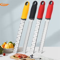 Râpe à fromage et zesteur de citron en acier inoxydable, presse-citron, presse-agrumes, râpe à fruits manuelle