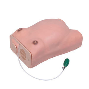 Livraison de simulateur d'examen de maternité en sciences médicales et modèle de <span class=keywords><strong>formation</strong></span> des compétences des spécialistes maternels - Product Image 3