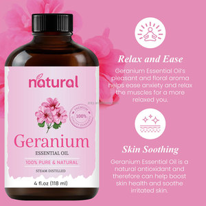 High Quality 100% Pure Rose Geranium Essential <strong>Oil</strong> Long Lasting Concentrated Natural Extract Geranium <strong>Oil</strong> for Cosmetic Skincare - Product Image 4