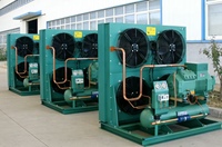 Unité de condensation extérieure refroidie par air de 15 CV pour machines de stockage frigorifique