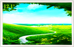 หน้าจอ LCD TFT 12.1 "ของแท้ EV121X0M-N10 1024 × 768 TN โมดูลป้องกันแสงสะท้อนระดับมืออาชีพ - Product Image 5