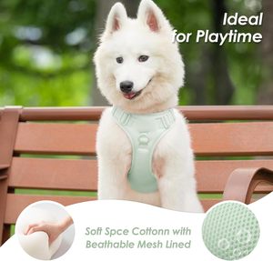 Harnais pour chien Perro : Accessoires pour animaux de compagnie personnalisables, harnais anti-traction et laisse pour chien - Product Image 6
