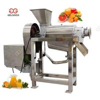 Gelgoog 500 Kg/u Automatisch Cashew Appelsap & Pulp Productielijn Roestvrij Staal Extractie & Filtratie Systeem