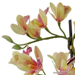 Orchidées artificielles Phalaenopsis à tige unique, aspect naturel, blanches, pour la décoration intérieure et extérieure, vente en gros - Product Image 3