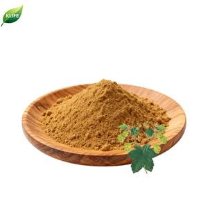 KLIFE天然ピュアホップ花エキスホップエキス粉末キサントフモール - Product Image 2