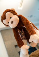 Peluche singe chauffable au micro-ondes