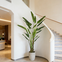 Bananes artificielles de qualité supérieure, best-sellers en gros, arbres artificiels en strelitzia, arbres artificiels réalistes, décoration d'intérieur