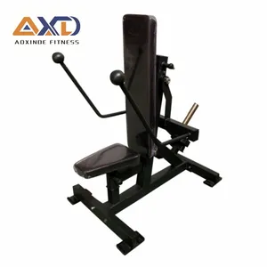 Good Price Gym Use indoor sports and entertainment fitness equipment exercise equipment Tricep Kickback/Dip